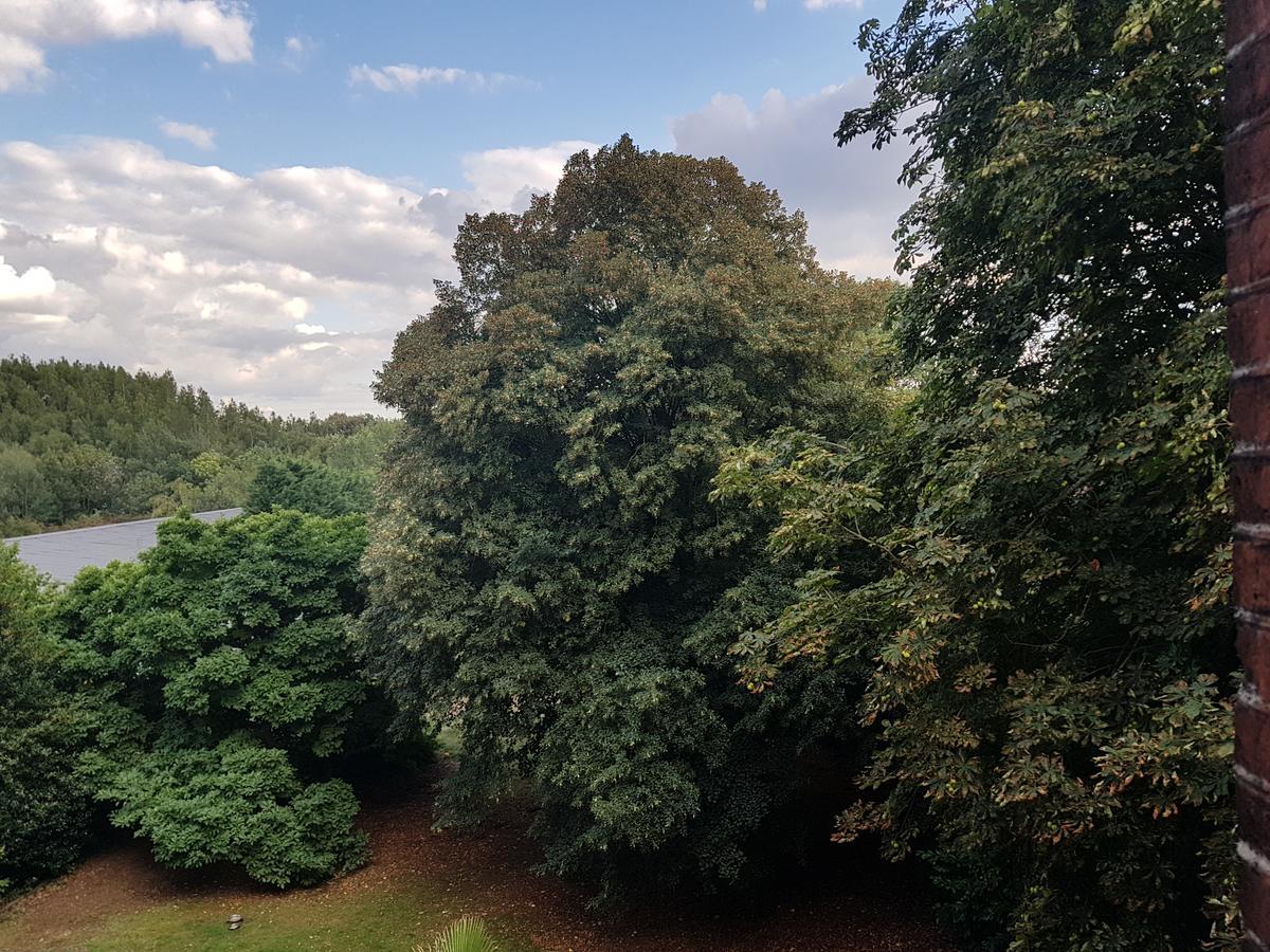 Chateau Lambert Moulinsart Hotel, Shuttle Airport, Long Term Parking, Snooker, Large Terrasse, Dinner, Breakfast Charleroi Exterior photo