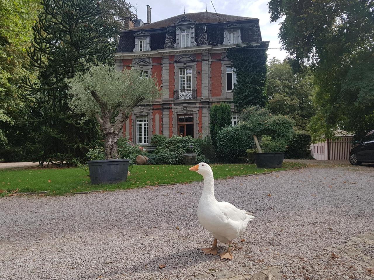Chateau Lambert Moulinsart Hotel, Shuttle Airport, Long Term Parking, Snooker, Large Terrasse, Dinner, Breakfast Charleroi Exterior photo